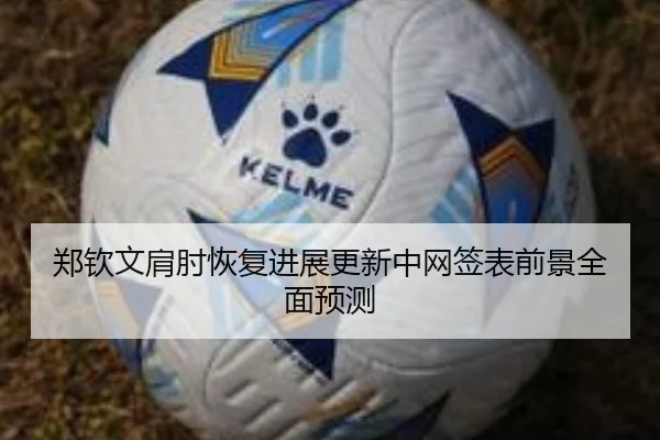 郑钦文肩肘恢复进展更新中网签表前景全面预测